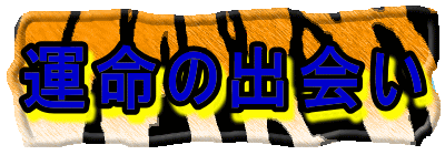 運命の出会い