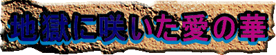 nɍ炢̉
